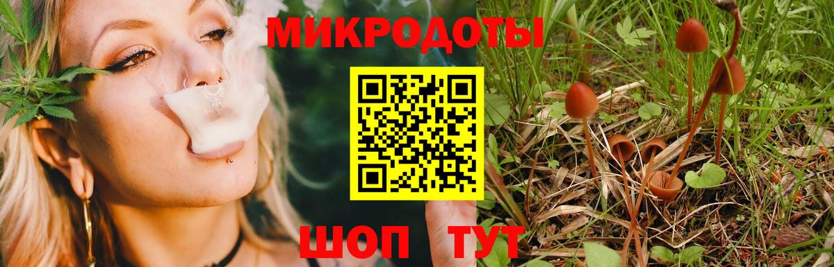 Псилоцибиновые грибы мухоморы Шали